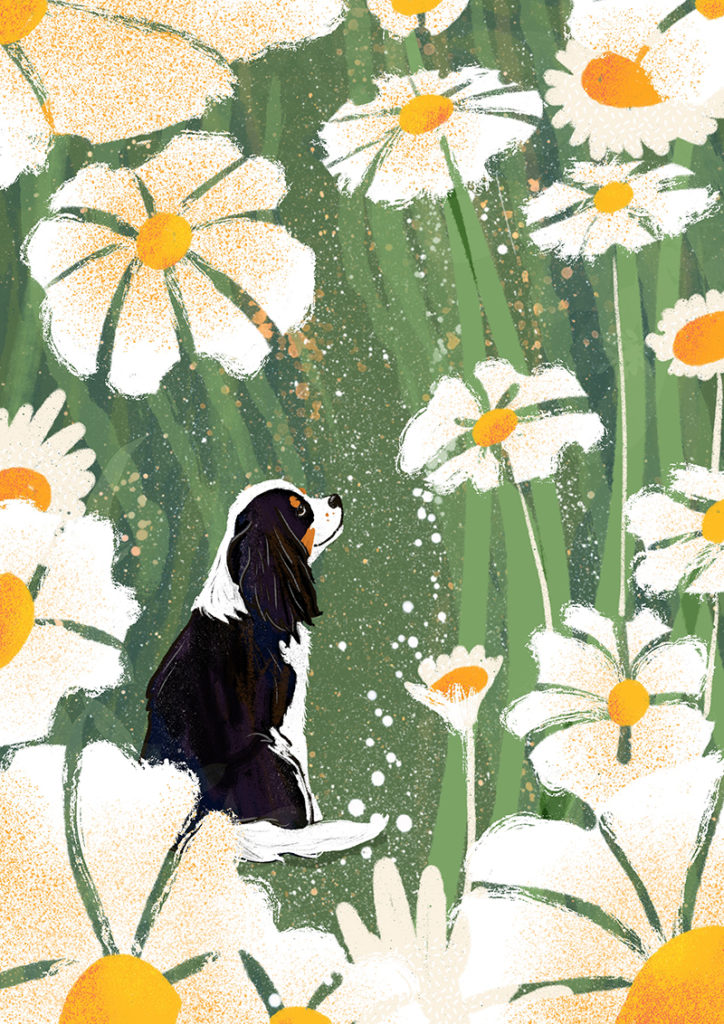 Cavalier King Charles spaniel in flower field, digital drawing, www.DOGvision.eu