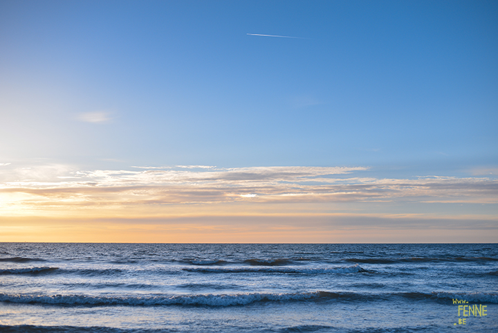 Our secret spot at the beach, Domburg Netherlands | dog photography/ hondenfotografie | www.DOGvision.be