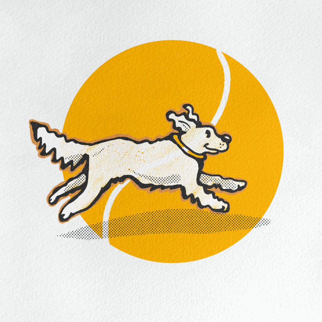 ball loving dog illustration.www.DOGvision.eu