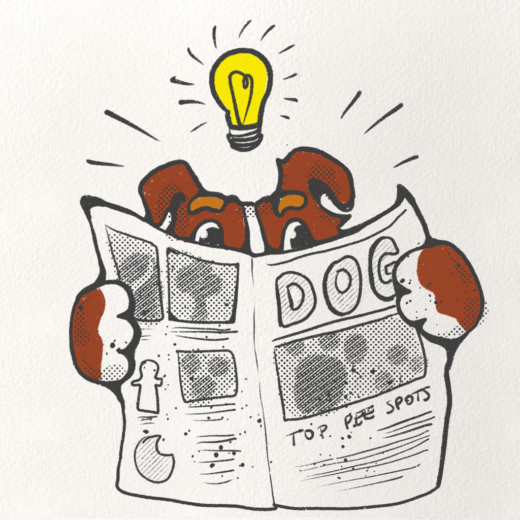 Dog reading the newspaper, illustration.www.DOGvision.eu