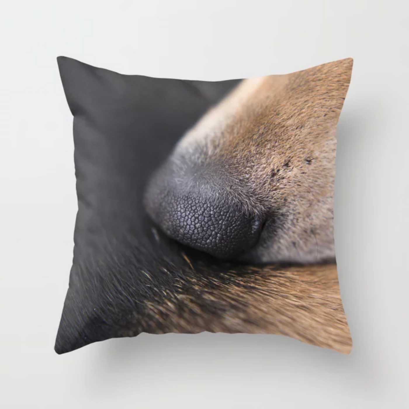 DOGvision, Fenne Kustermans, gifts for dog lovers, art prints, and wall art for dog lovers, www.DOGvision.eu - society6.com/dogvision