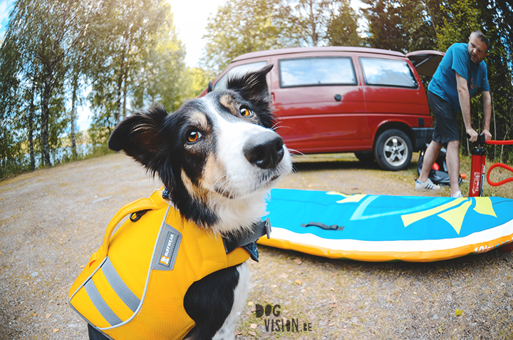 Red Paddle DOG sup | Summer adventures with dogs | www.DOGvision.be