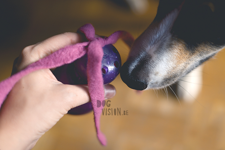 Creative on the road: fleece dog toy diy | www.DOGvision.be | dog blog