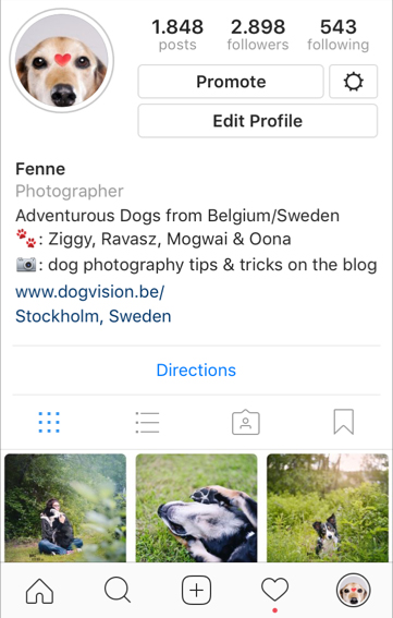 DOGvision | dogs of instagram, how to get started | www.DOGvision.be