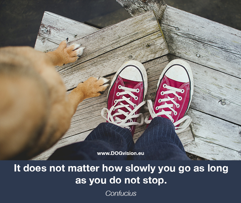 Stephen-hawkin-quote, monday motivation, dog photographer Fenne Kustermans, www.DOGvision.eu