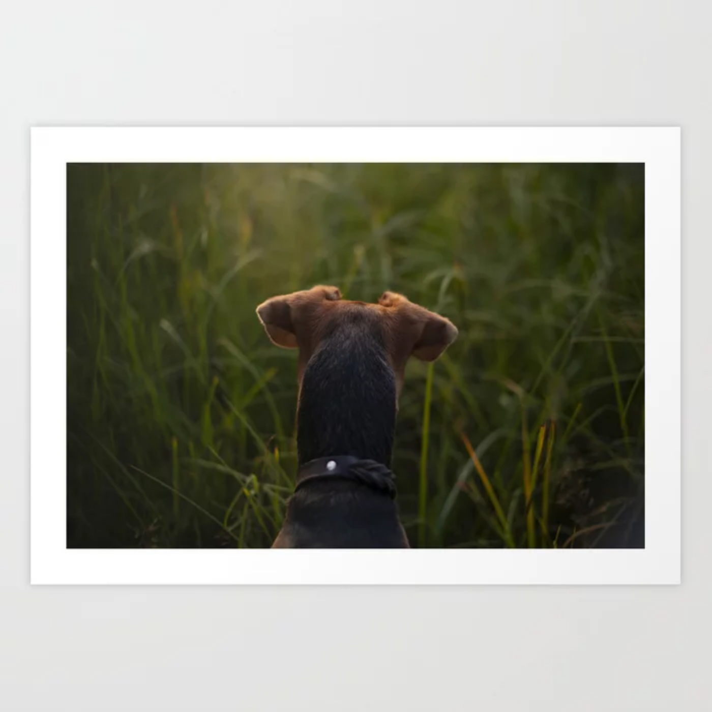 DOGvision, Fenne Kustermans, gifts for dog lovers, art prints, and wall art for dog lovers, www.DOGvision.eu - society6.com/dogvision