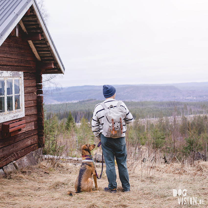 DOGvision dog photography in Dalarna Sweden, hiking with dogs, Nordic lifestyle, www.DOGvision.eu