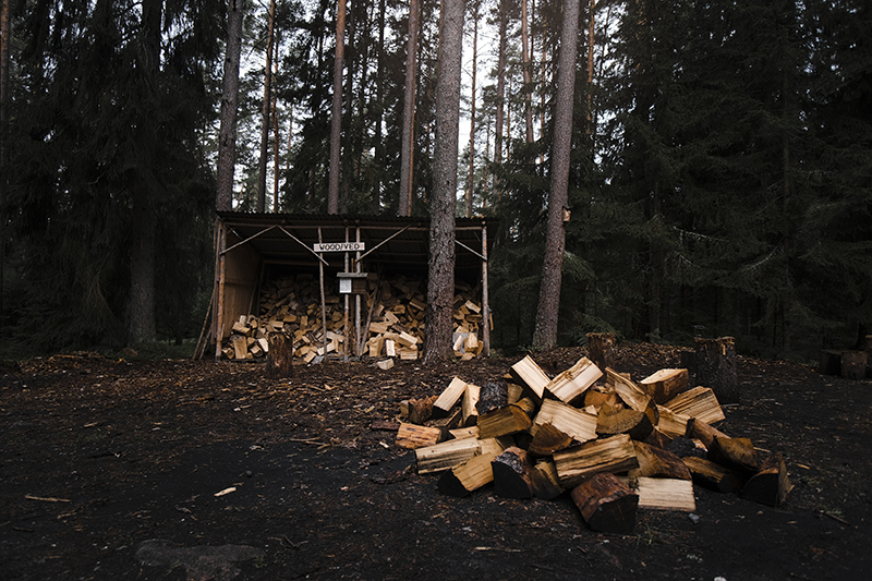 Traveling and camping with dogs, Kolarbyn eco lodge Sweden, primitive cabins, Border Collie, dog photography, www.DOGvision.eu