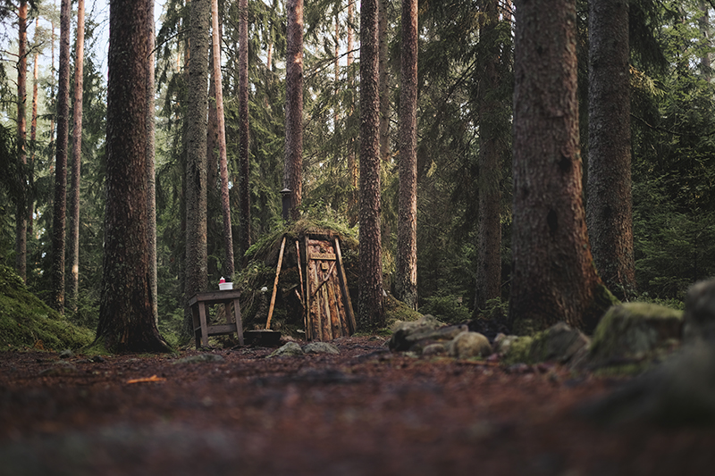 Traveling and camping with dogs, Kolarbyn eco lodge Sweden, primitive cabins, Border Collie, dog photography, www.DOGvision.eu