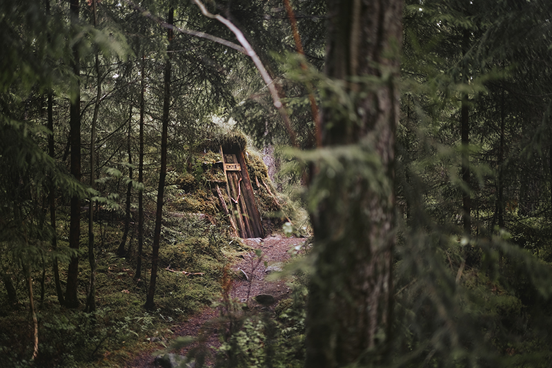 Traveling and camping with dogs, Kolarbyn eco lodge Sweden, primitive cabins, Border Collie, dog photography, www.DOGvision.eu