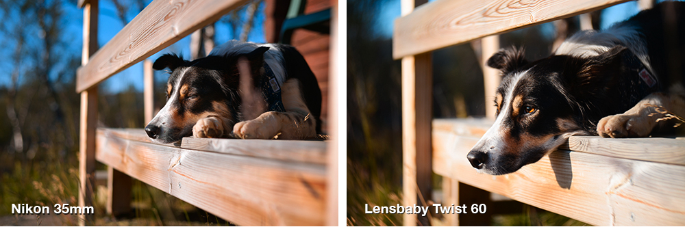 Lensbaby Twist 60 and Sweet 35 review | www.DOGvision.be