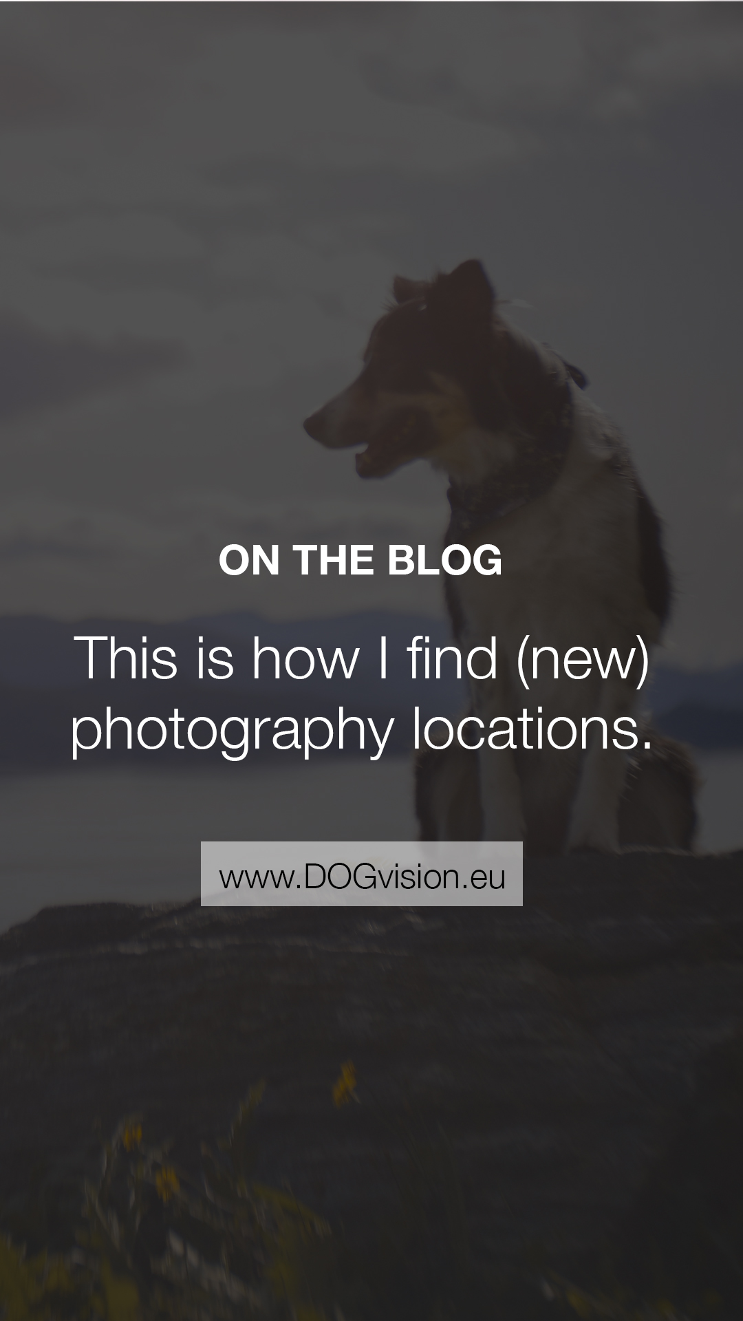 How to find interesting locations for dog photography, dog photography Sweden, dog blog, www.DOGvision.eu