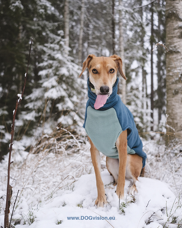 #TongueOutTuesday (01), dog photography DOGvision/ Fenne Kustermans, mutt from Crete, diy dog sweater in fleece, hundfotografi Dalarna Sverige. Vandra med hund. www.DOGvision.eu