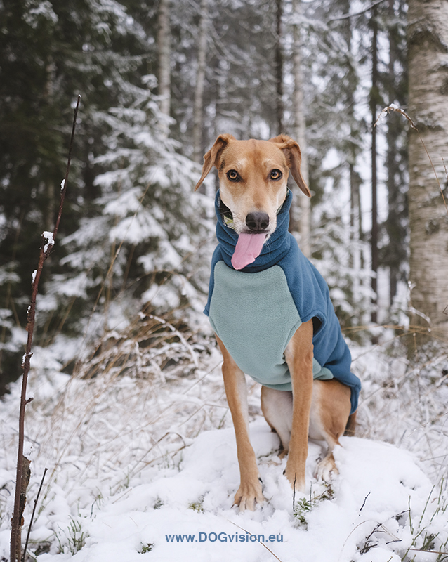 DOGvision | #TongueOutTuesday (01), dog photography DOGvision/ Fenne Kustermans, mutt from diy dog sweater in fleece, hundfotografi Dalarna Sverige. med hund. www.DOGvision.eu