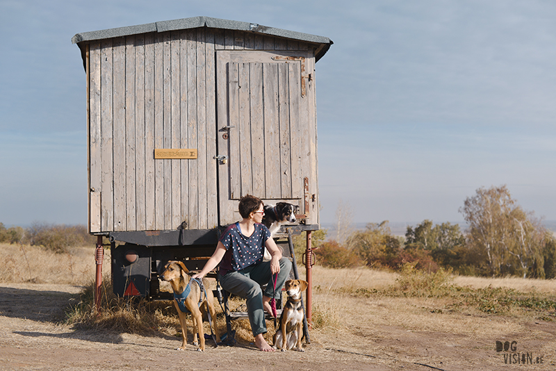 Road trip with dogs in Europe, camping with dogs in Germany, dog photographer Europe, www.DOGvision.eu