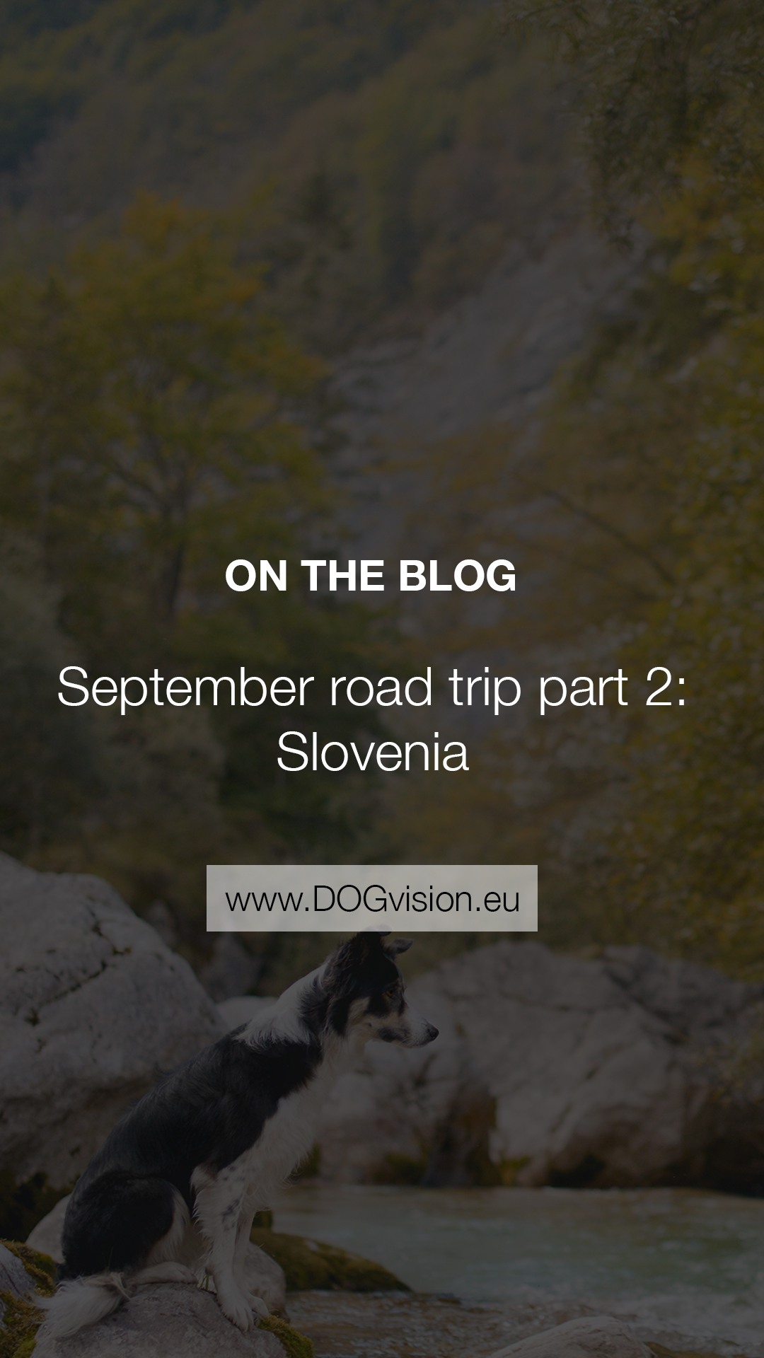 September road trip with dogs to Slovenia, dog photographer, traveling Europe with dogs, www.DOGvision.eu