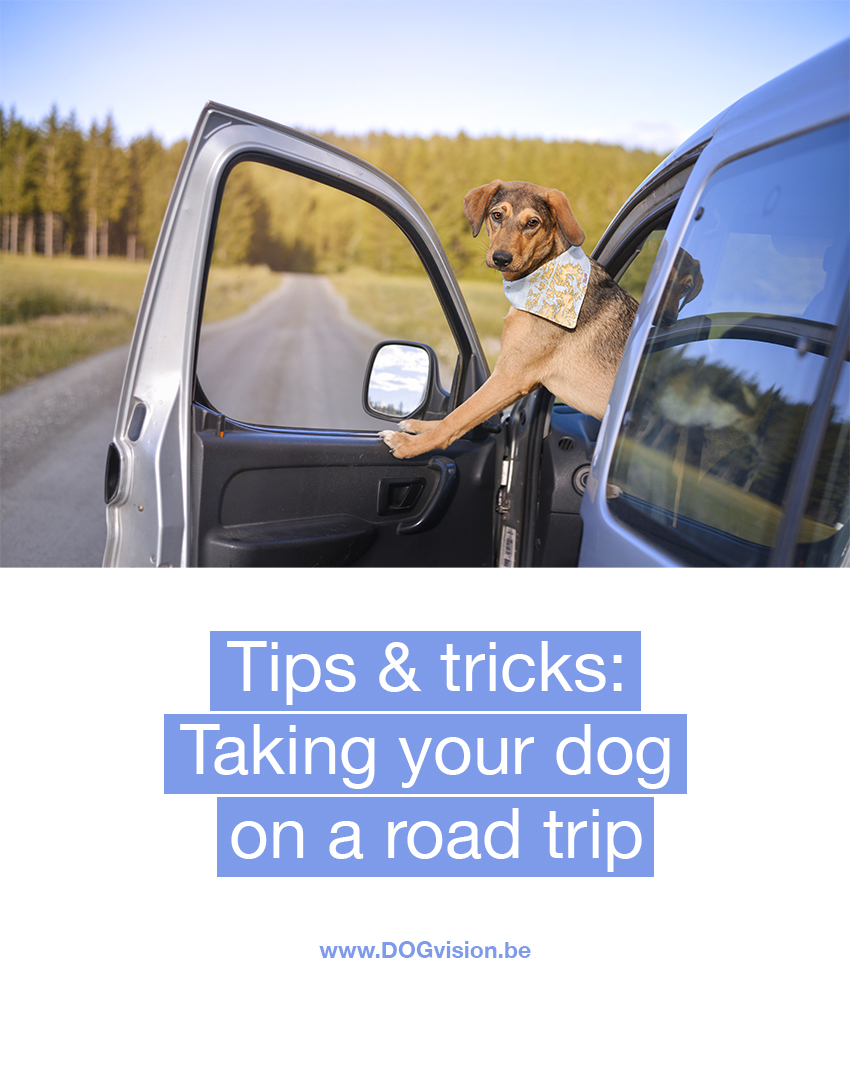 Tips & tricks: taking your dog on a road trip | www.DOGvision.be