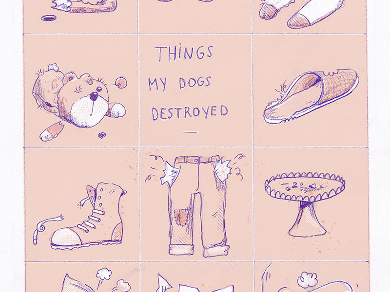 Things my dogs destroyed, dog illustration, www.DOGvision.eu