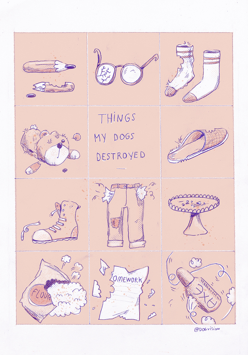 Things my dogs destroyed, dog illustration, www.DOGvision.eu