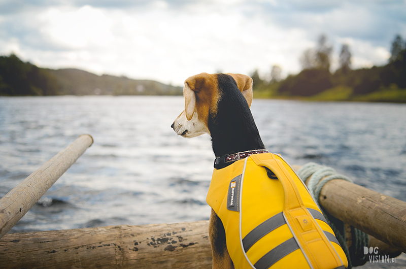 Two days on a timber raft with dogs, Värmland, Sweden, dog blogger, adventure dogs, European dog photographer, www.DOGvision.eu