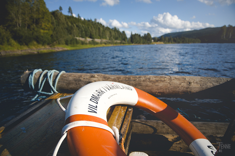 Two days on a timber raft with dogs, Värmland, Sweden, dog blogger, adventure dogs, European dog photographer, www.DOGvision.eu