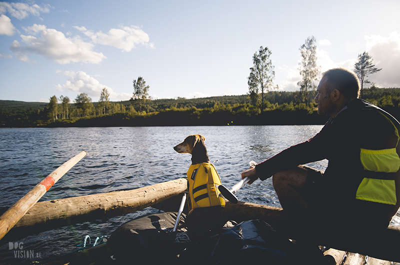 Two days on a timber raft with dogs, Värmland, Sweden, dog blogger, adventure dogs, European dog photographer, www.DOGvision.eu