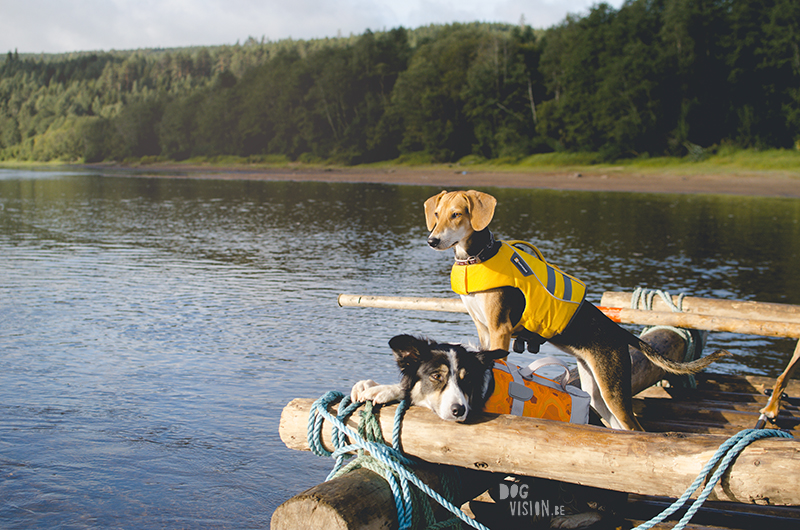 Two days on a timber raft with dogs, Värmland, Sweden, dog blogger, adventure dogs, European dog photographer, www.DOGvision.eu