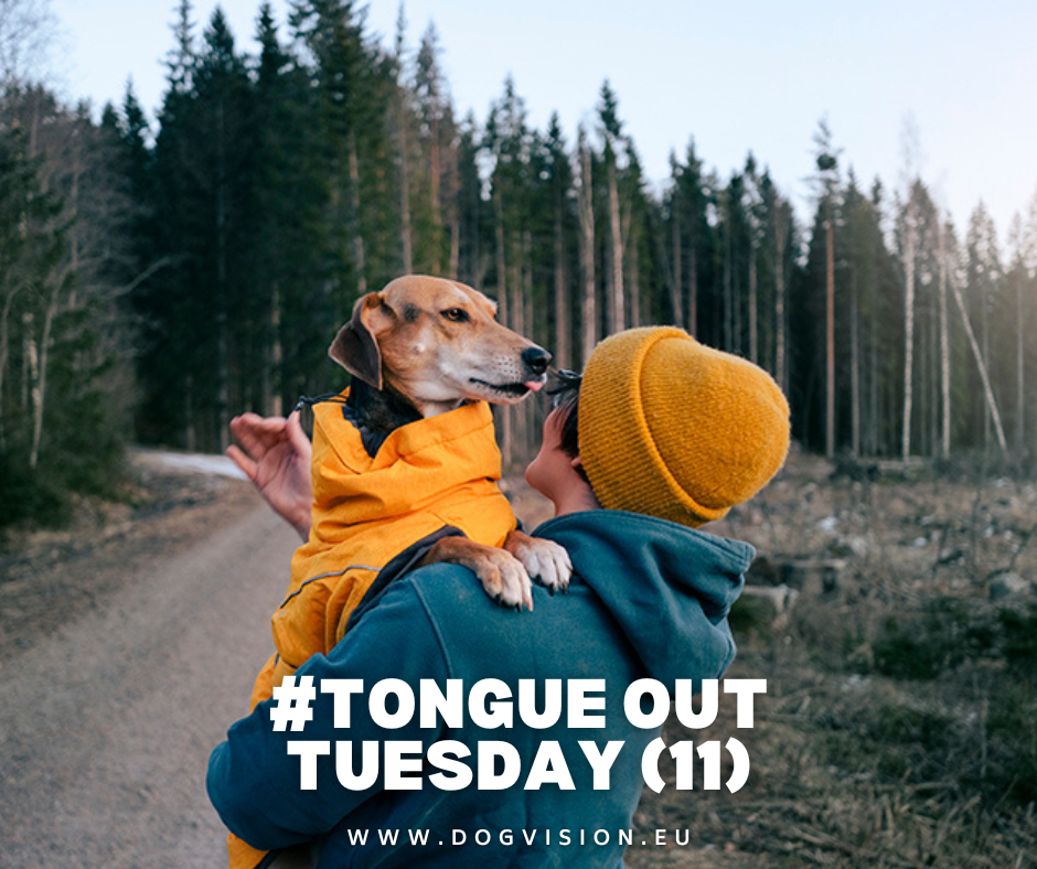 #TongueOutTuesday (11), dogvision dog photography Europe, Sweden, Belgium, hiking with dogs, Geocaching with dogs, dog mom, www.DOGvision.eu