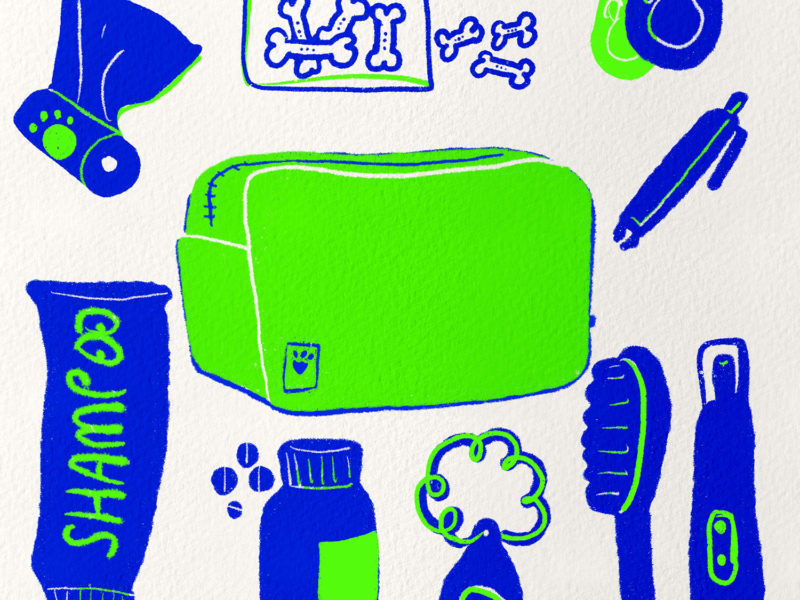 What's in my dog's travel pouch, Hurtta zhero pouch, dog gear illustration, www.DOGvision.eu