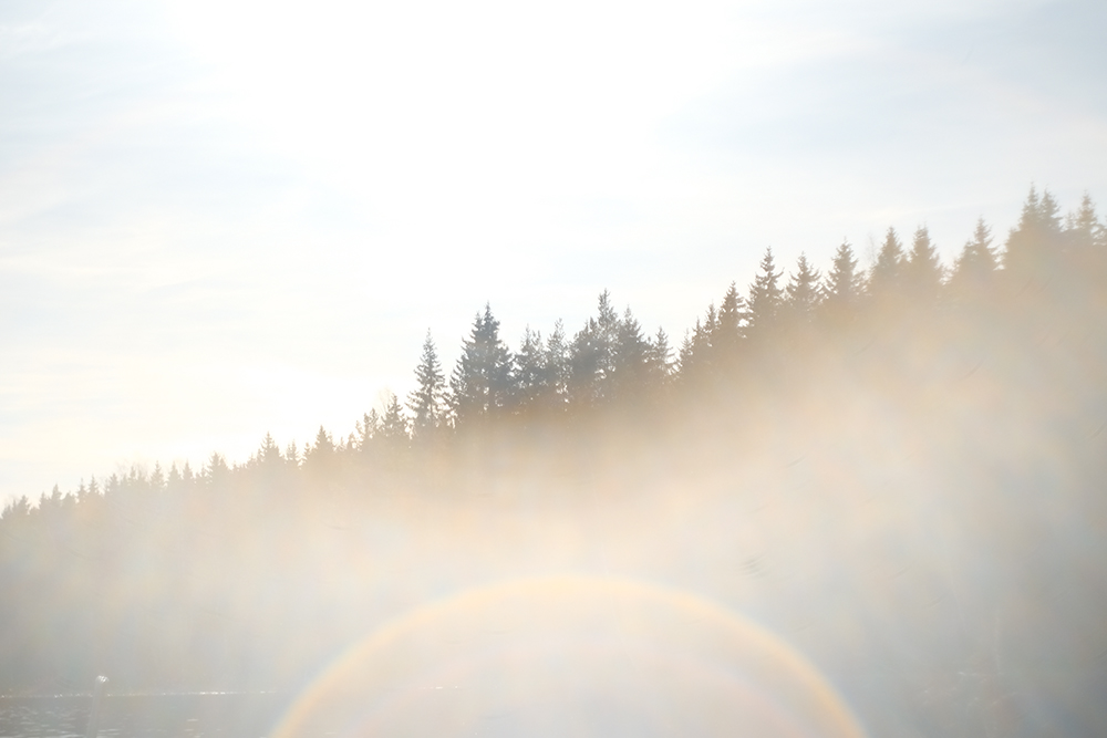 Early spring in Sweden, dog photography, www.DOGvision.eu