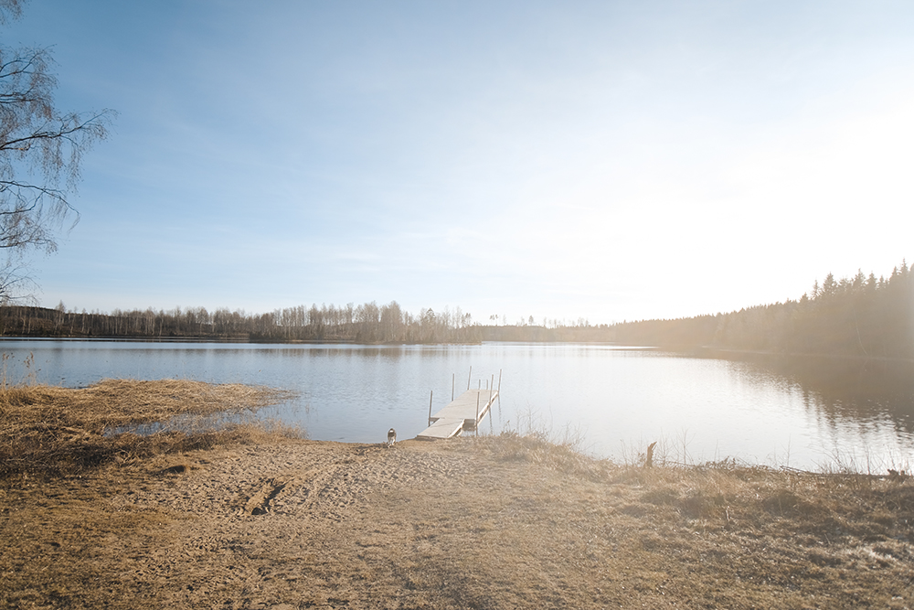 Early spring in Sweden, dog photography, www.DOGvision.eu