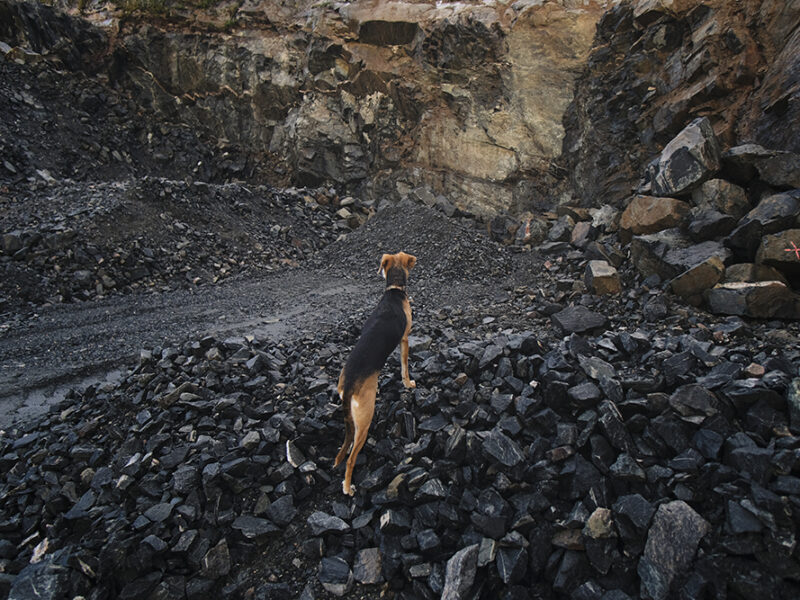 Rockhound quarry hike, www.DOGvision.eu