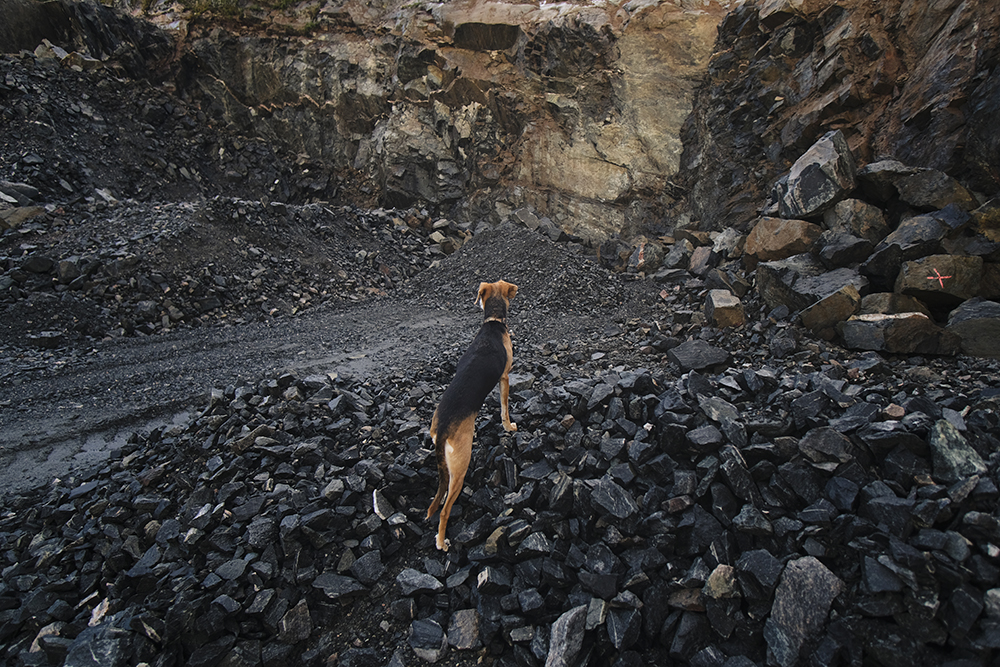 Rockhound quarry hike, www.DOGvision.eu