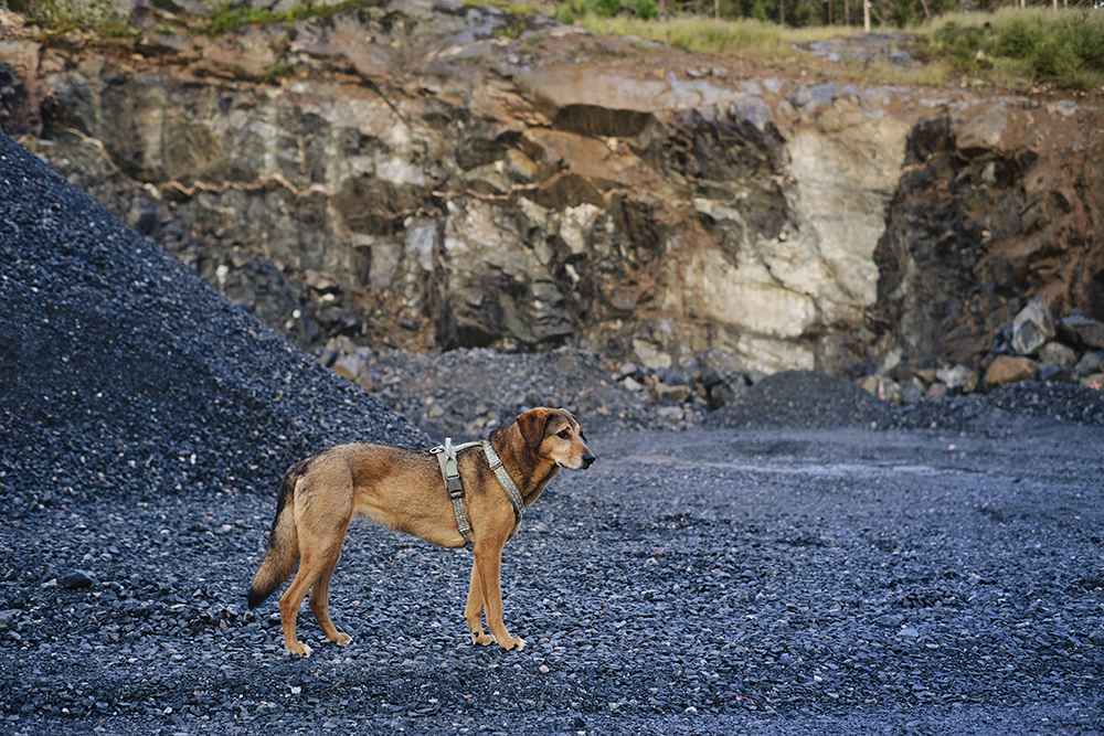 Rockhound quarry hike, www.DOGvision.eu