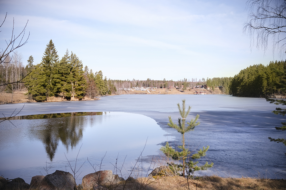 Spring in Sweden, dog walk, www.DOGvision.eu