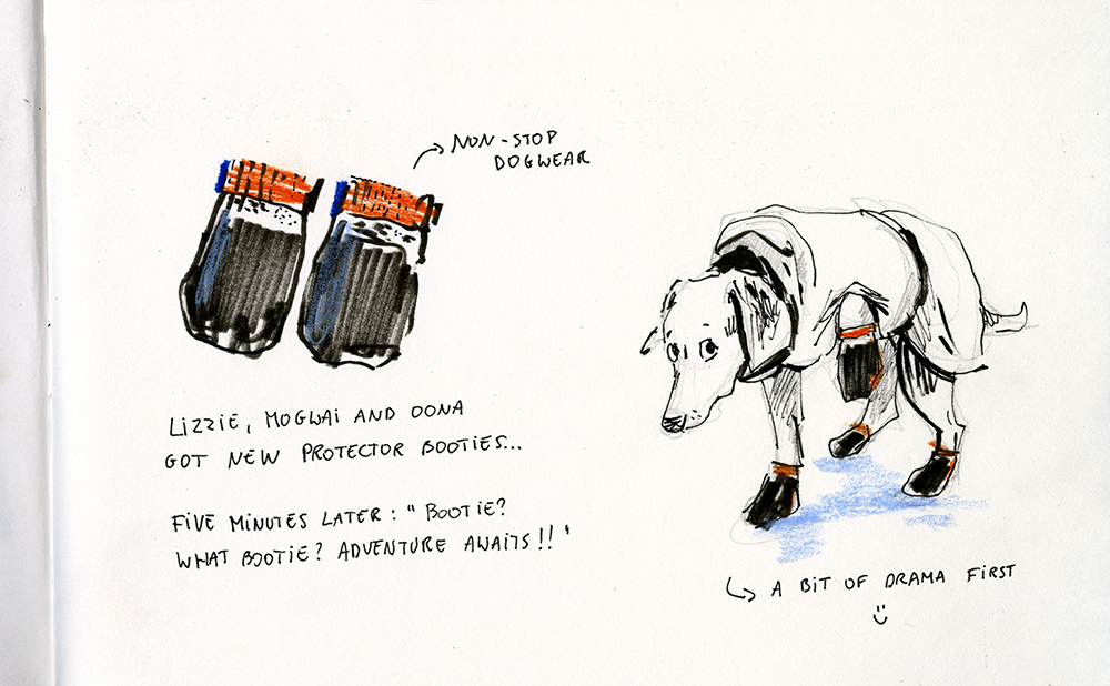 dog drawing challenge, dog illustration, dog sketches, www.DOGvision.eu