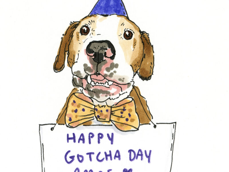 100 days of dog drawings, creative challenge, www.DOGvision.eu