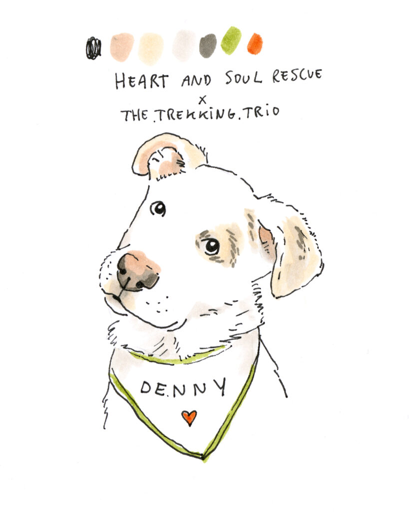 100 day project, drawing one dog a day, dog illustration, www.DOGvision.eu