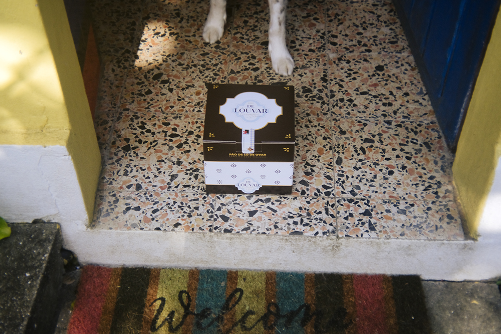 Portugal with dogs, www.DOGvision.eu