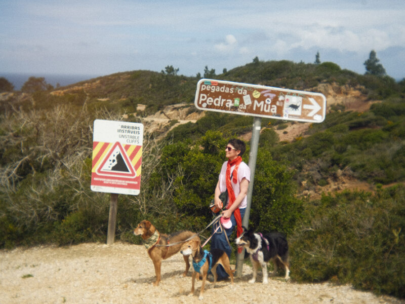 Traveling with dogs to Portugal, www.DOGvision.eu