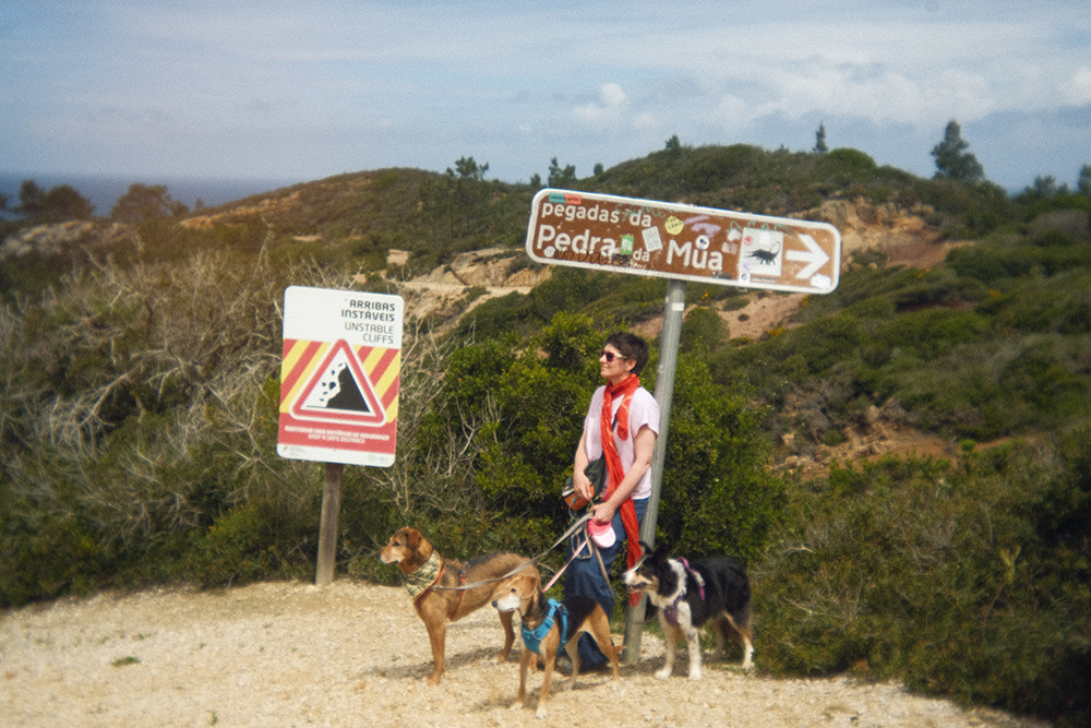 Traveling with dogs to Portugal, www.DOGvision.eu