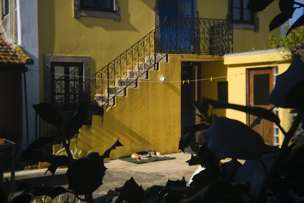 Portugal with dogs, www.DOGvision.eu