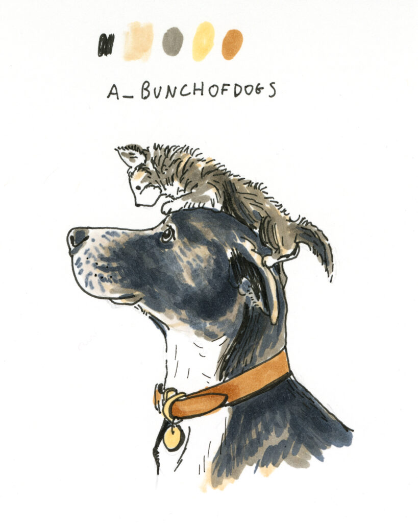 the 100 day project, drawing 100 dogs, one a day, www.DOGvision.eu