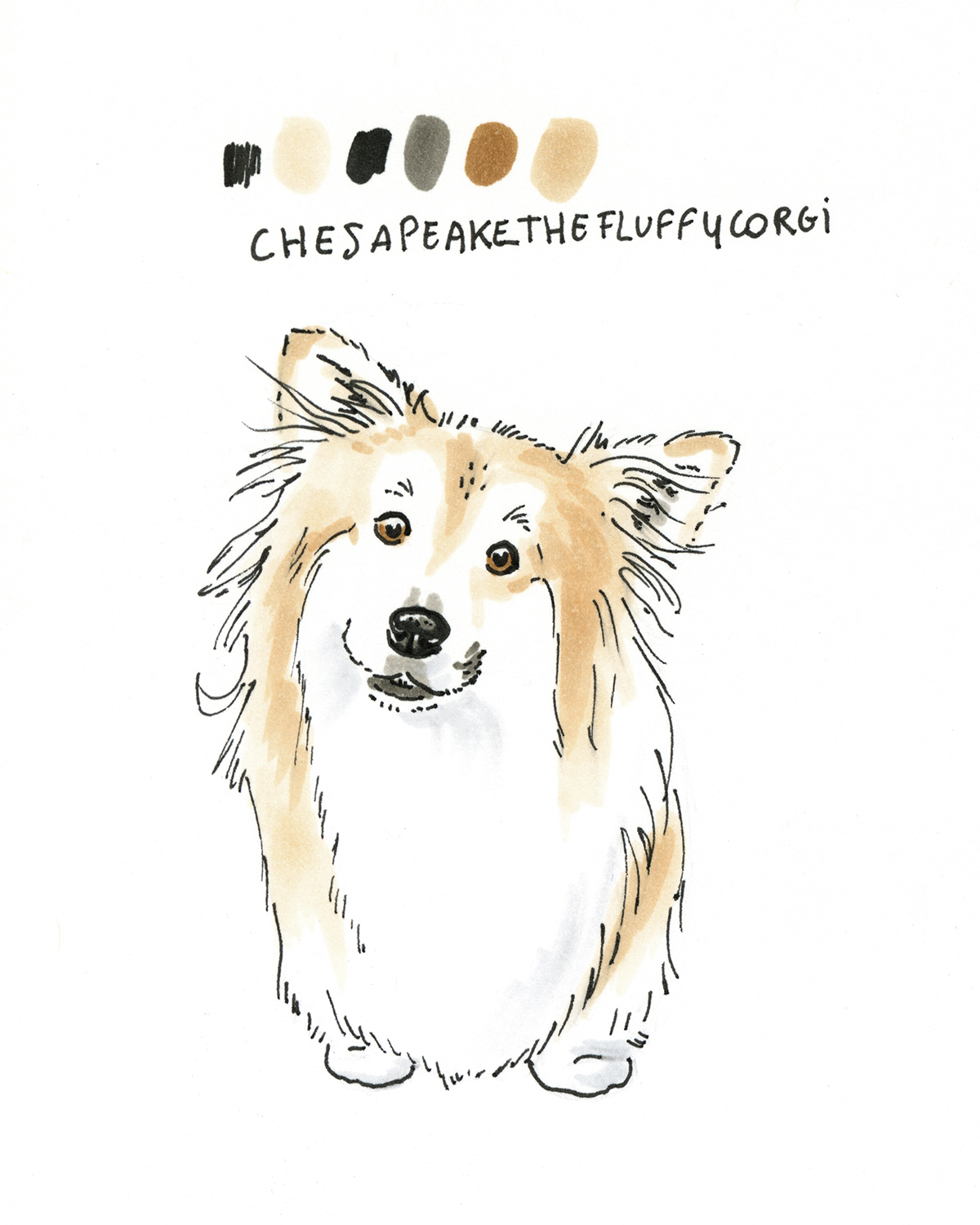 100 days of dog drawings, creative chalenge, www.DOGvision.eu