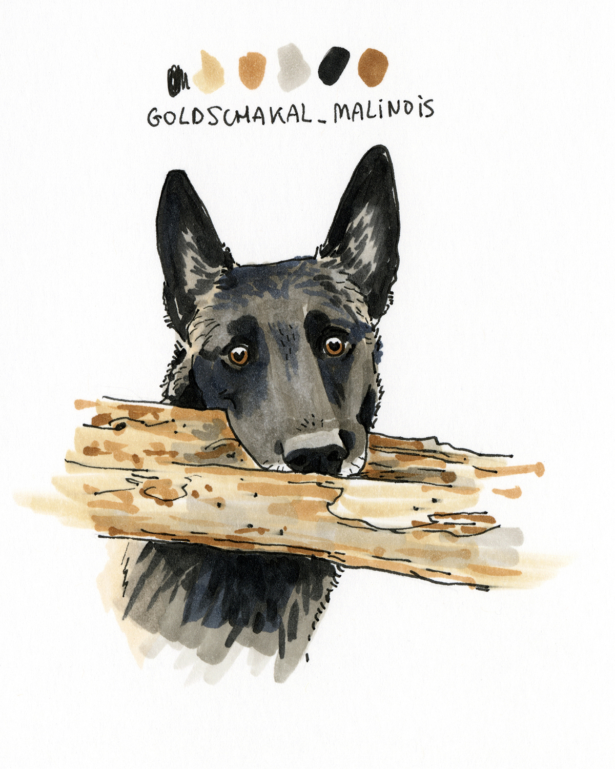 DOGvision 100 day dog drawing challenge, the 100 day projects, dog illustration, www.DOGvision.eu