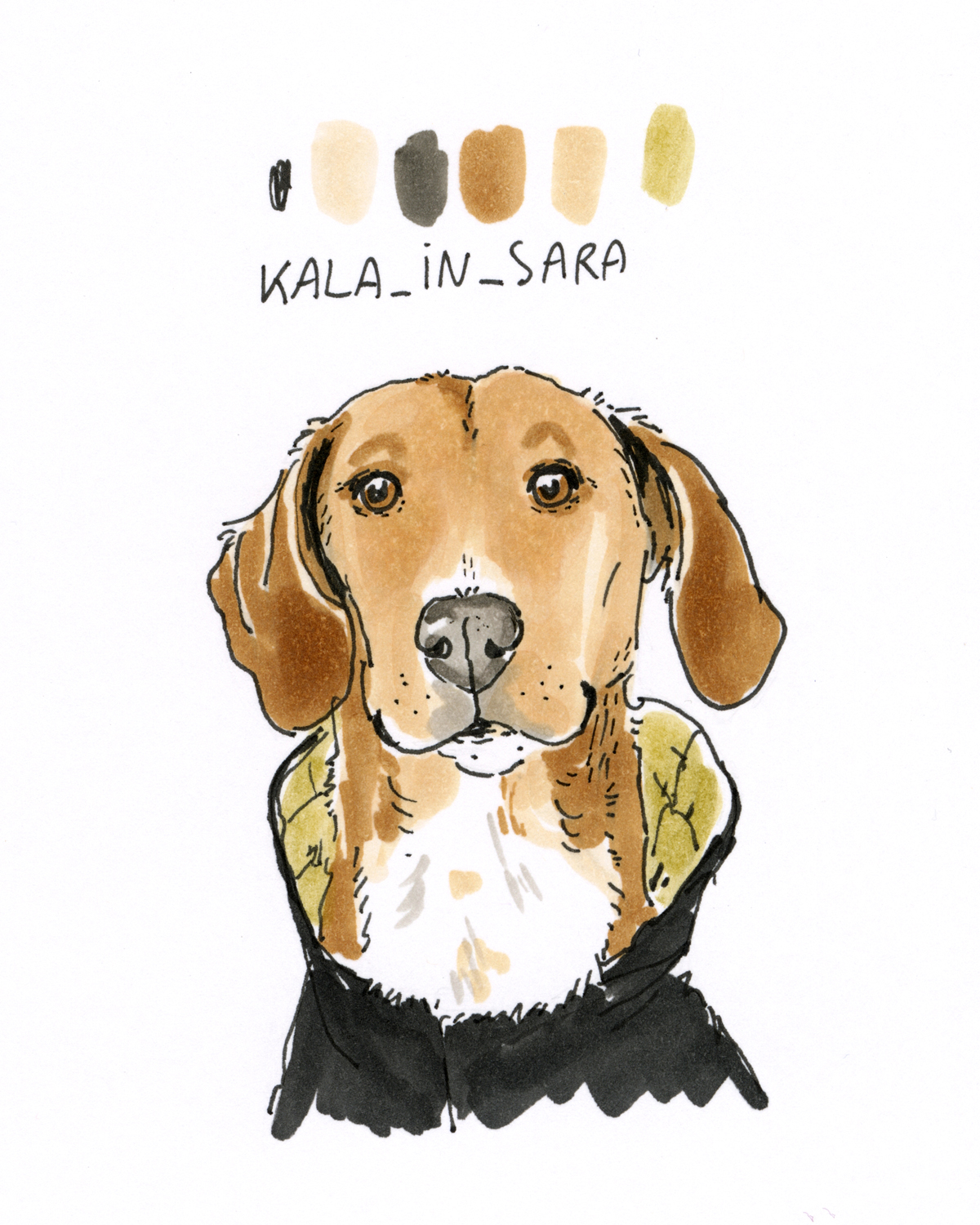 daily dog portrait drawings, dog illustrations, dogs of Instagram, dog community, www.DOGvision.eu