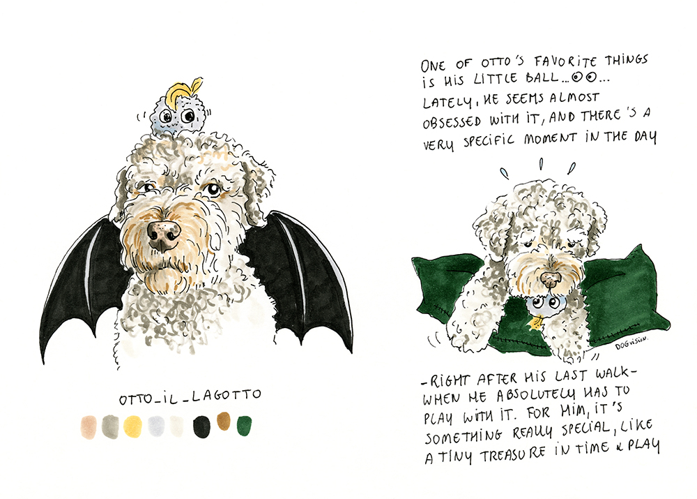 otto_il_lagotto