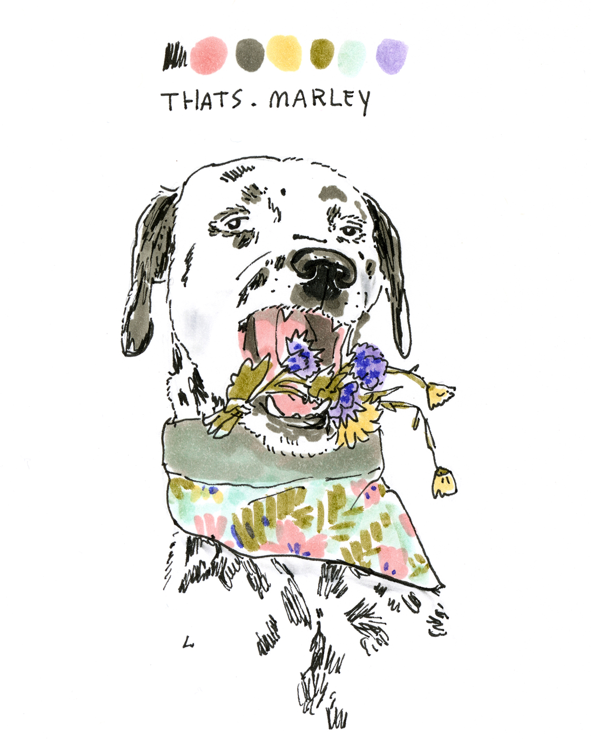 100 day project, drawing one dog a day, dog illustration, www.DOGvision.eu