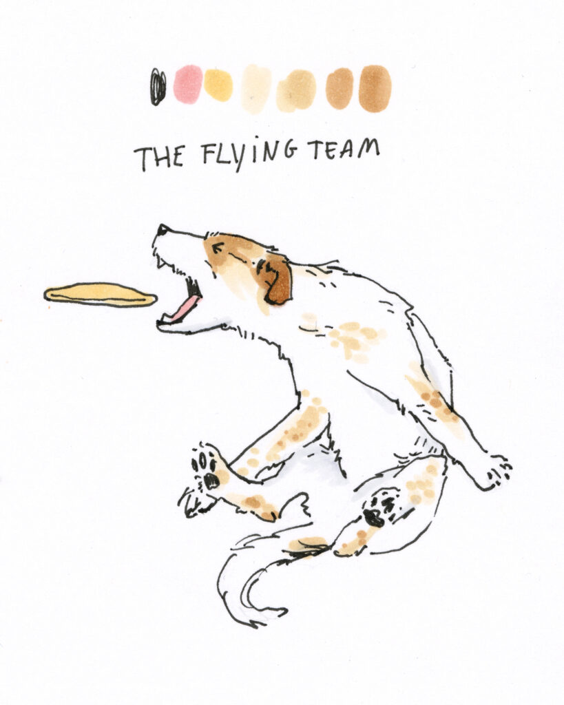 daily dog portrait drawings, dog illustrations, dogs of Instagram, dog community, www.DOGvision.eu