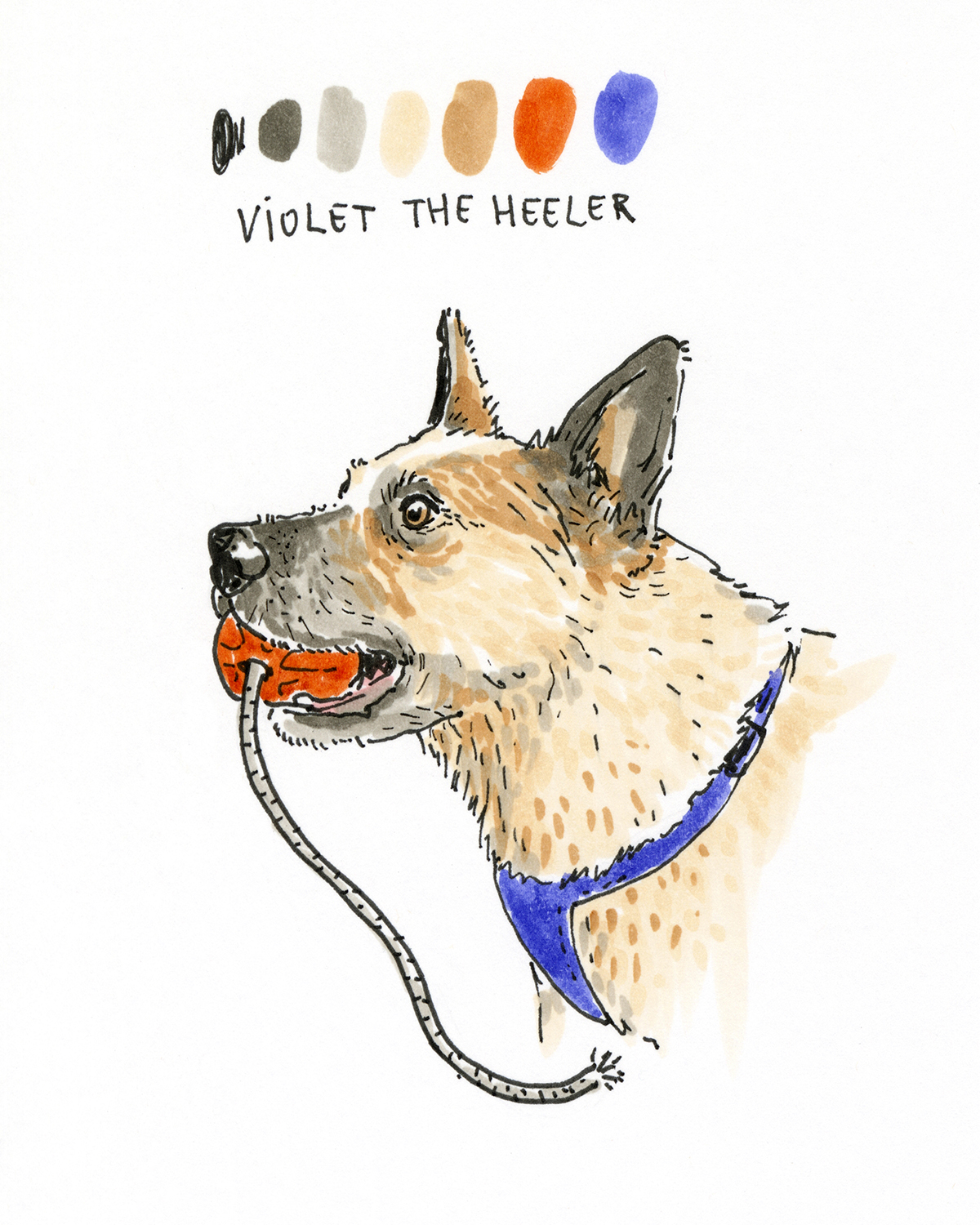 100 days of dog drawings, creative chalenge, www.DOGvision.eu